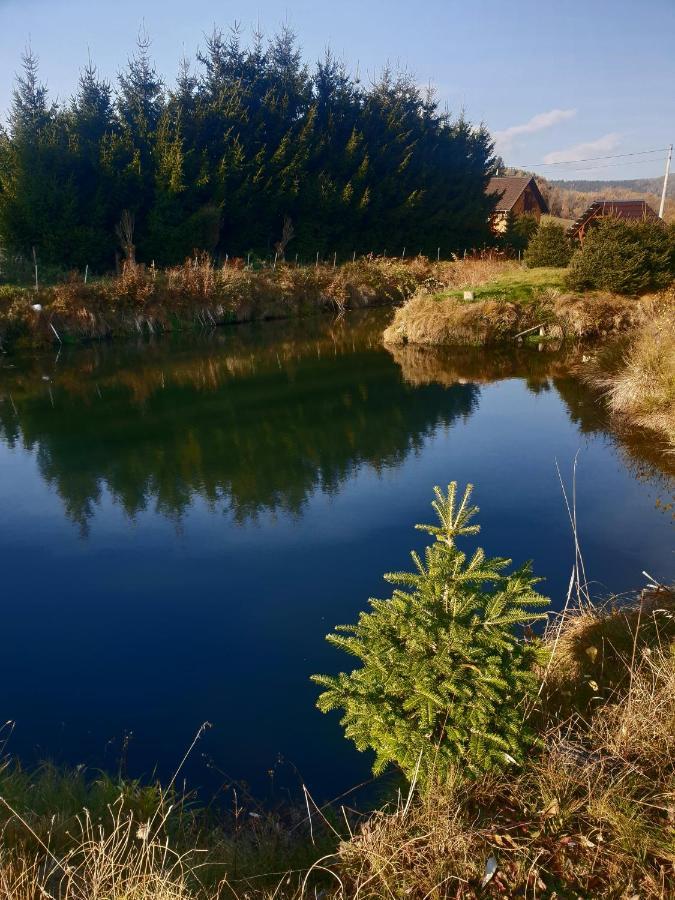 Agroturystyka Swierki Любавка Экстерьер фото